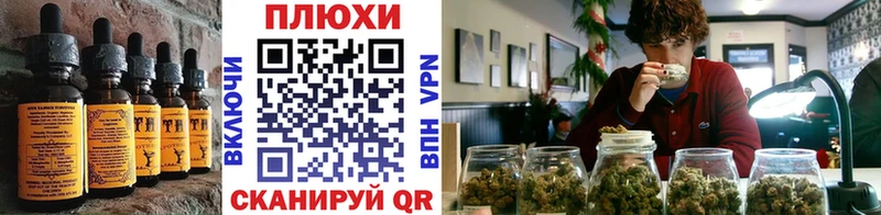 блэк спрут зеркало Новомичуринск Canna-Cookies конопля