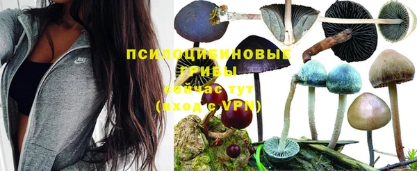 хмурый Балахна