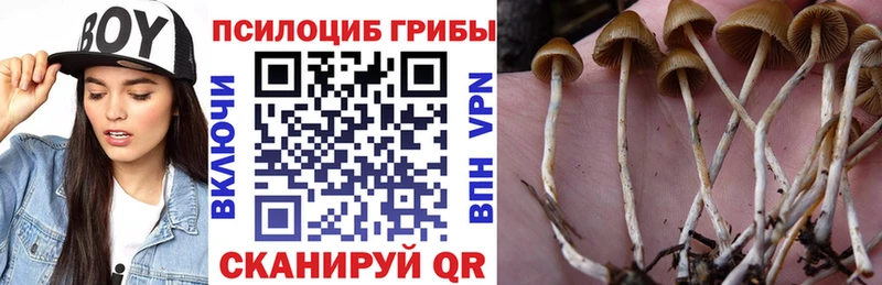 Галлюциногенные грибы прущие грибы  ссылка на мегу как зайти  Новомичуринск 